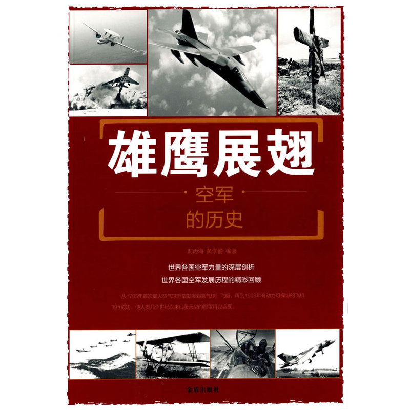 雄鹰展翅-空军的历史 书籍 政治 军事 战略战术战役