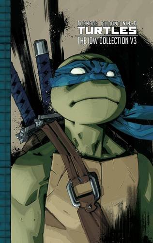 现货 英文原版 teenage mutant ninja turtles: the idw