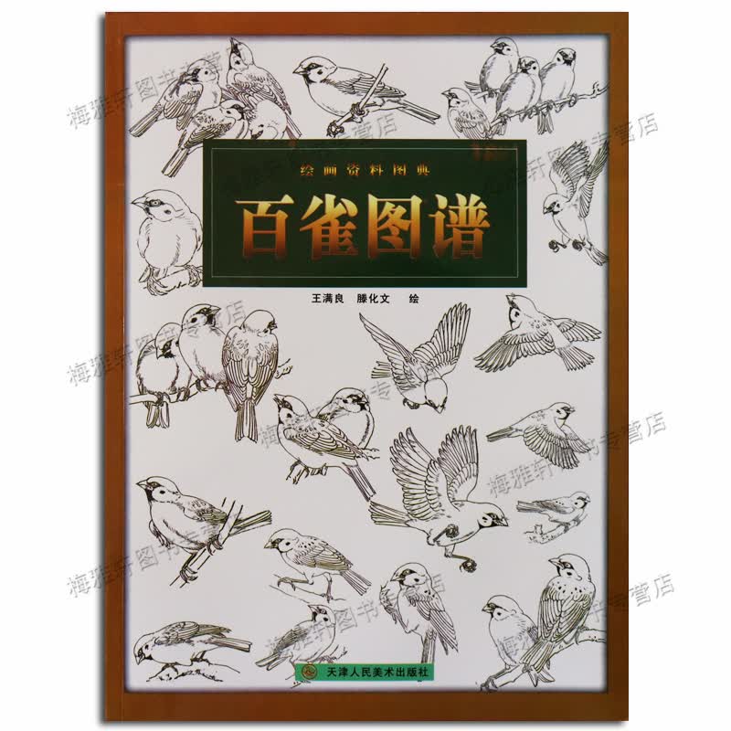 百雀图谱 素描 画鸟 国画书籍入门技法教材 天津人民美术出版社
