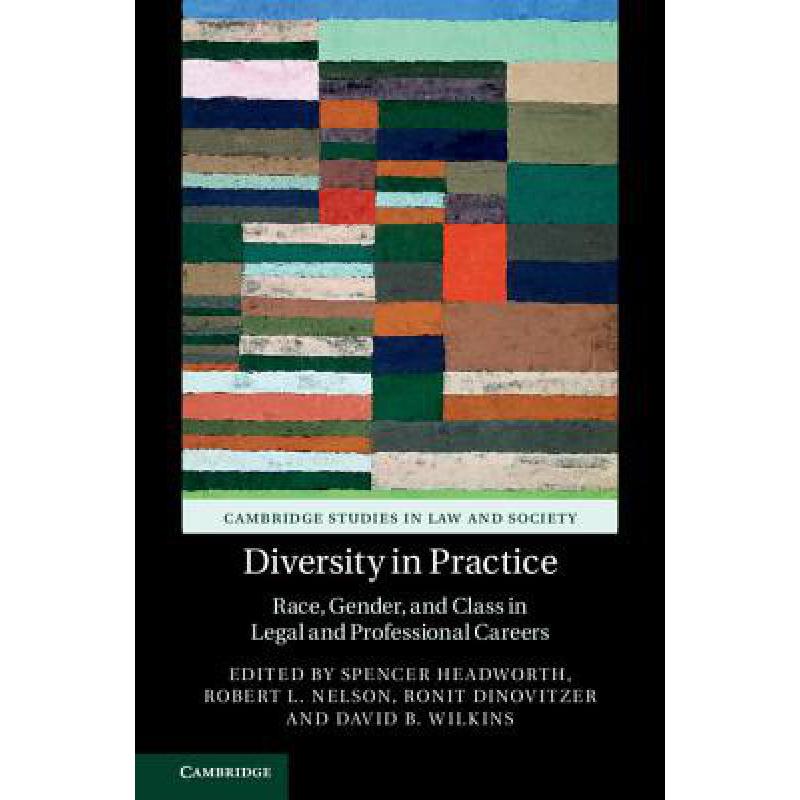 预订 Diversity in Practice: Race, Gender, and Class in Legal and Professional Careers - Diversity i...