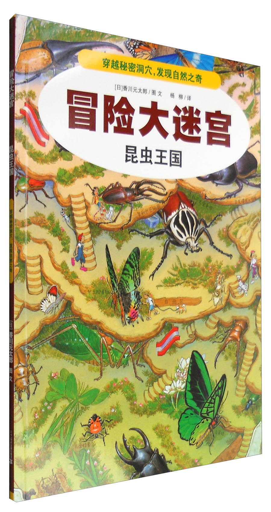 冒险大迷宫3：昆虫王国