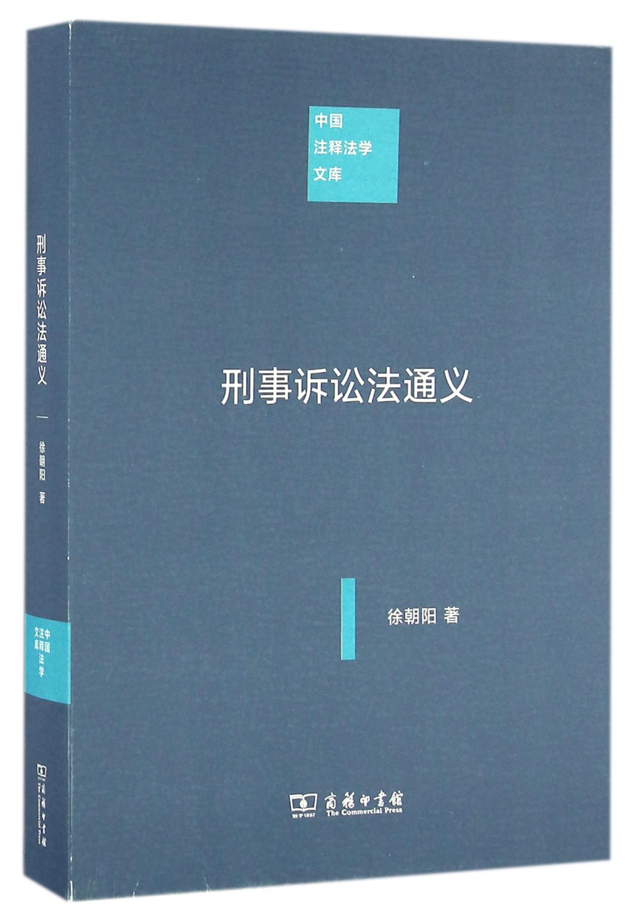 中国注释法学文库：刑事诉讼法通义