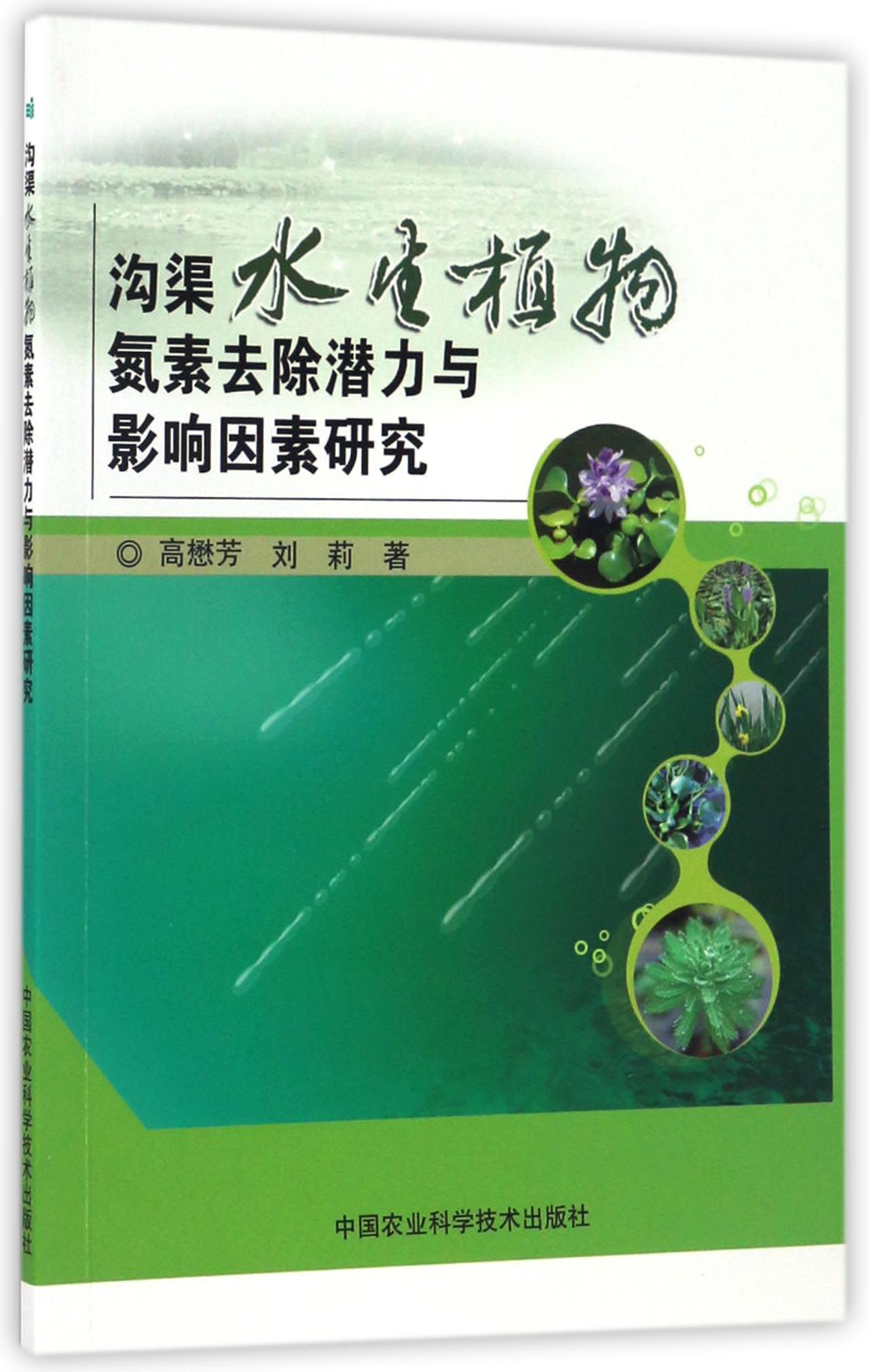 沟渠水生植物氮素去除潜力与影响因素研究