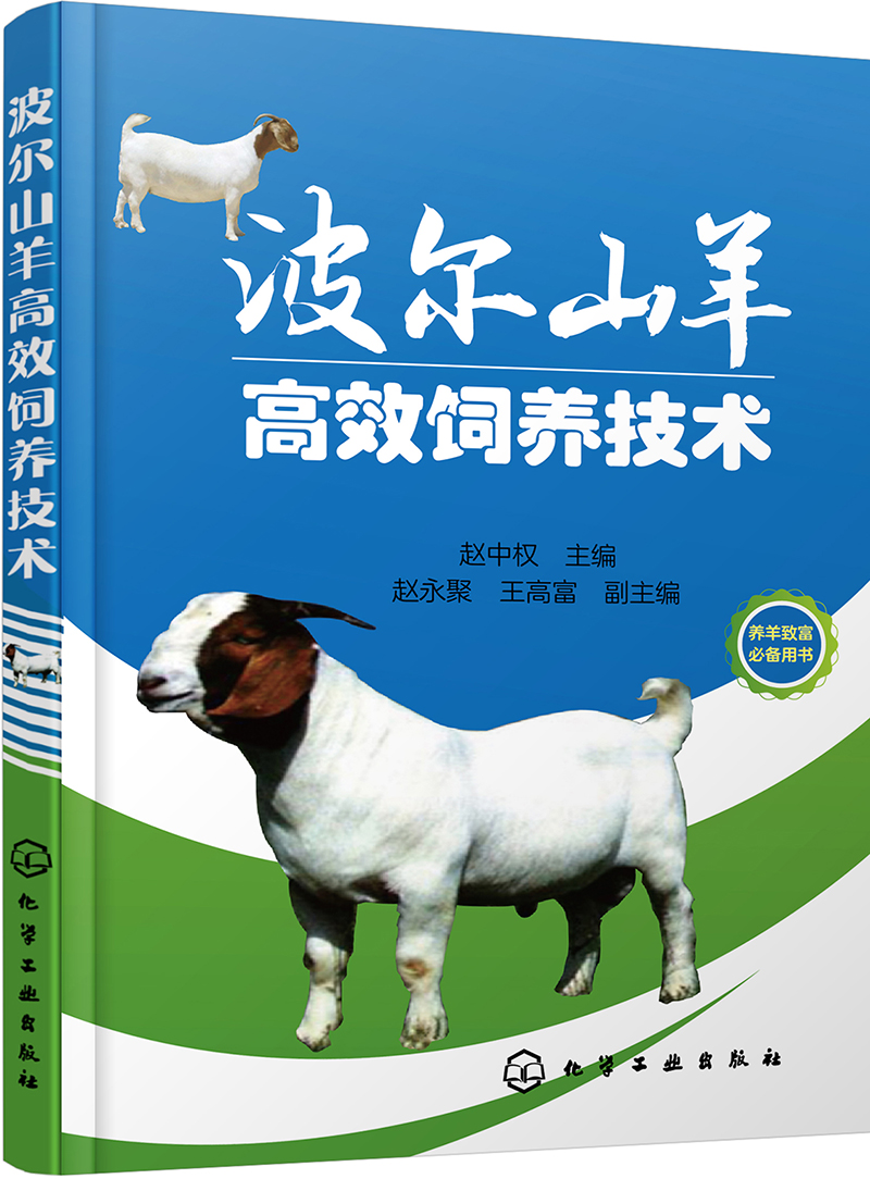波尔山羊高效饲养技术