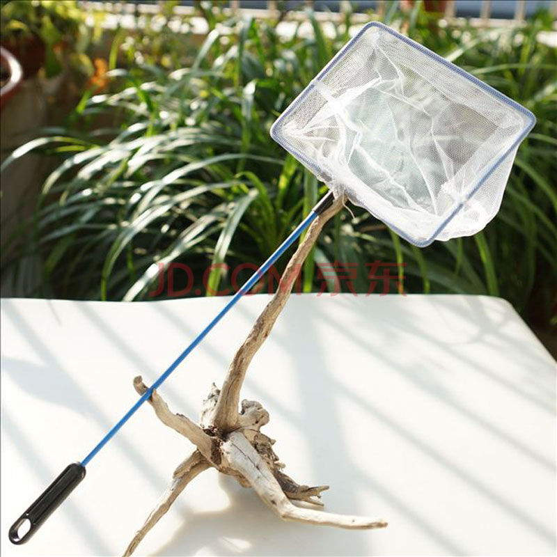 御龙鱼缸小鱼捞渔捞捞鱼网细密小鱼网家用金鱼网兜水族箱抄网方形鱼网