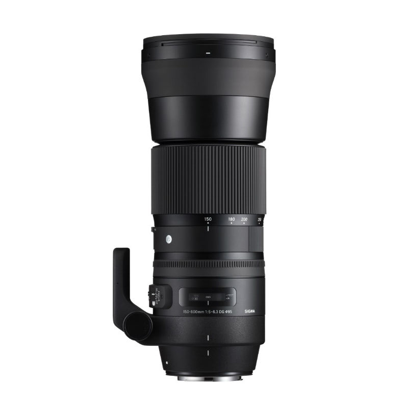 查询适马SIGMA150-600mmF5-63DGOSHX｜Contemporary全画幅远摄变焦镜头打鸟荷花尼康单反卡口历史价格