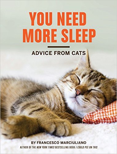 You Need More Sleep Advice from Cats