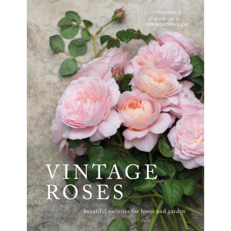 预订 Vintage Roses: Beautiful Varieties for Home ...