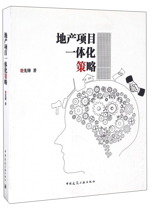 地产项目一体化策略