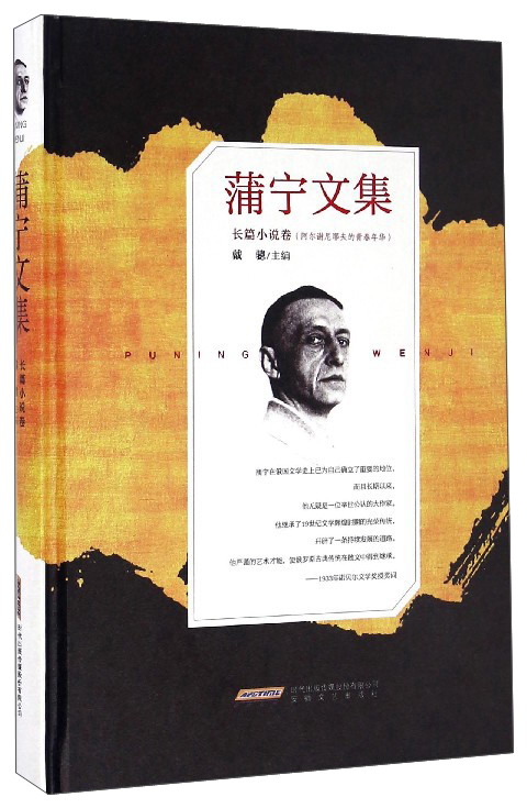 蒲宁文集（长篇小说卷 阿尔谢尼耶夫的青春年华）