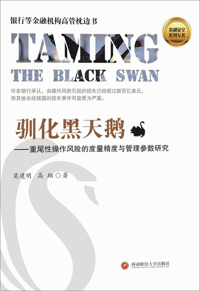 驯化黑天鹅:重尾性操作风险的度量精度与管