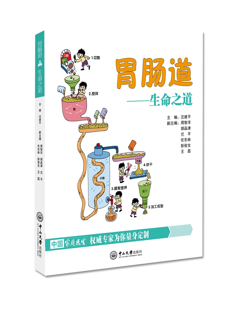 胃肠道:生命之道