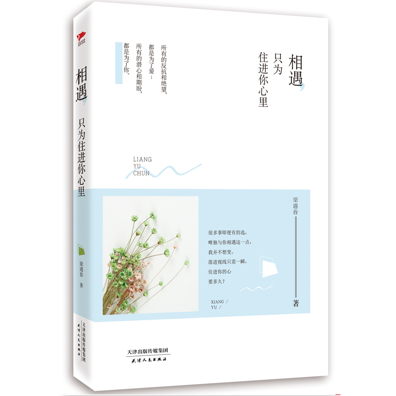 路过心上的经典：相遇，只为住进你心里（精装）