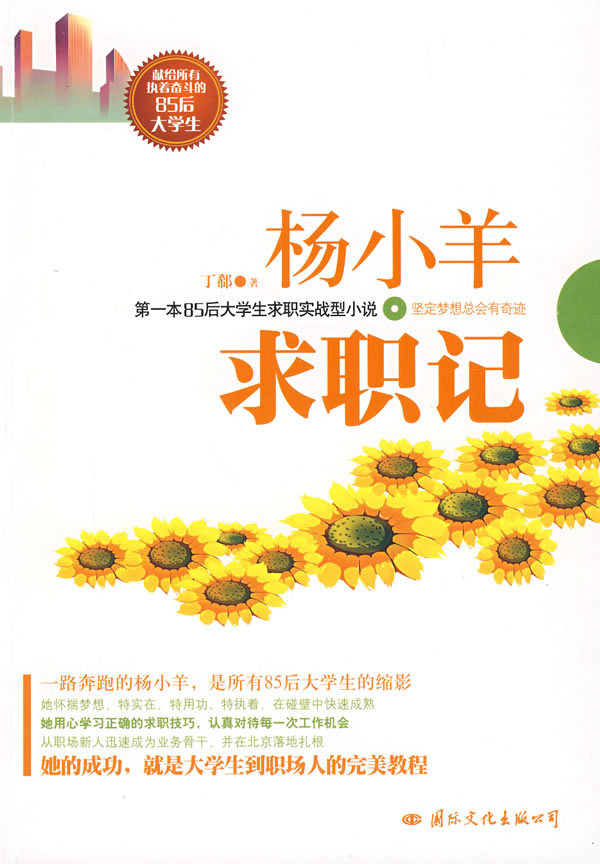 杨小羊求职记 书籍分类 小说 职场