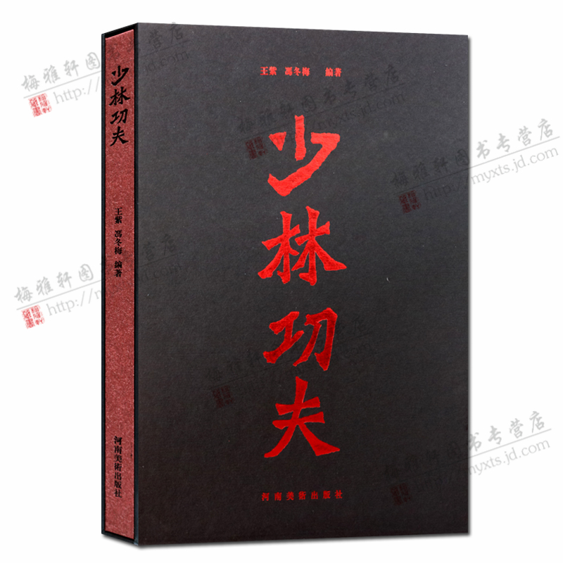 少林功夫 中国太极武术书籍 中老年健身体操有氧运动图书 河南美术出版社 正版图书