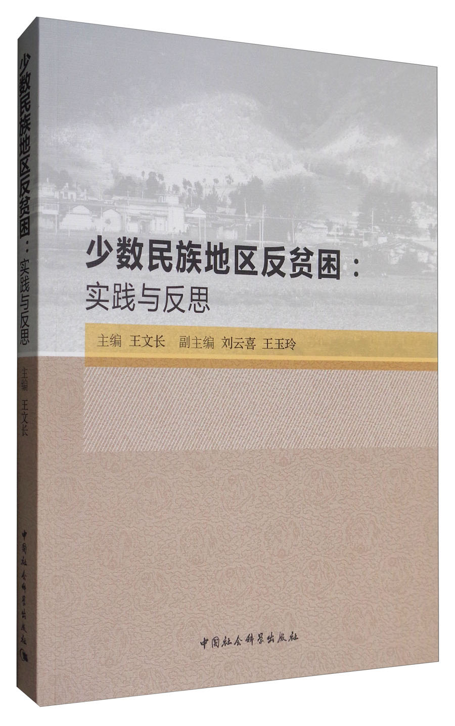 少数民族地区反贫困：实践与反思