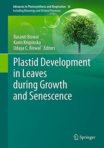 【预订】plastid development in leaves during