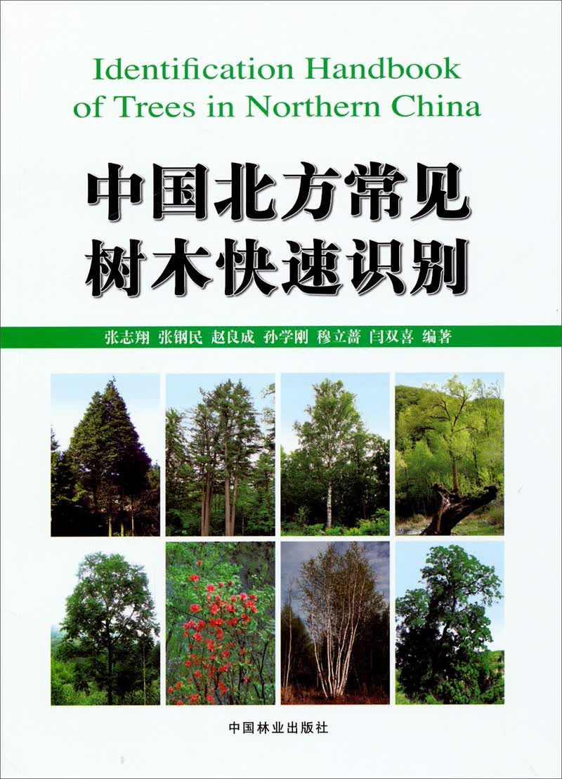 中国北方常见树木快速识别