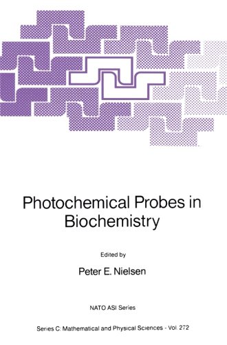 【预订】photochemical probes in
