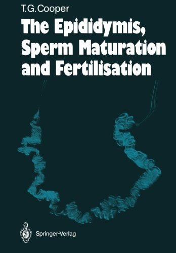 【预订】the epididymis, sperm maturation and