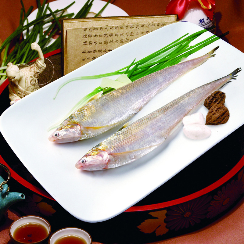 蟹行天下崇明冰鲜刀鱼肉质鲜美规格齐全500g礼盒装全国顺丰 规格 60