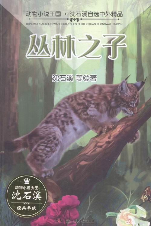 丛林之子 童书 书籍 分类 儿童文学小学生课外阅读