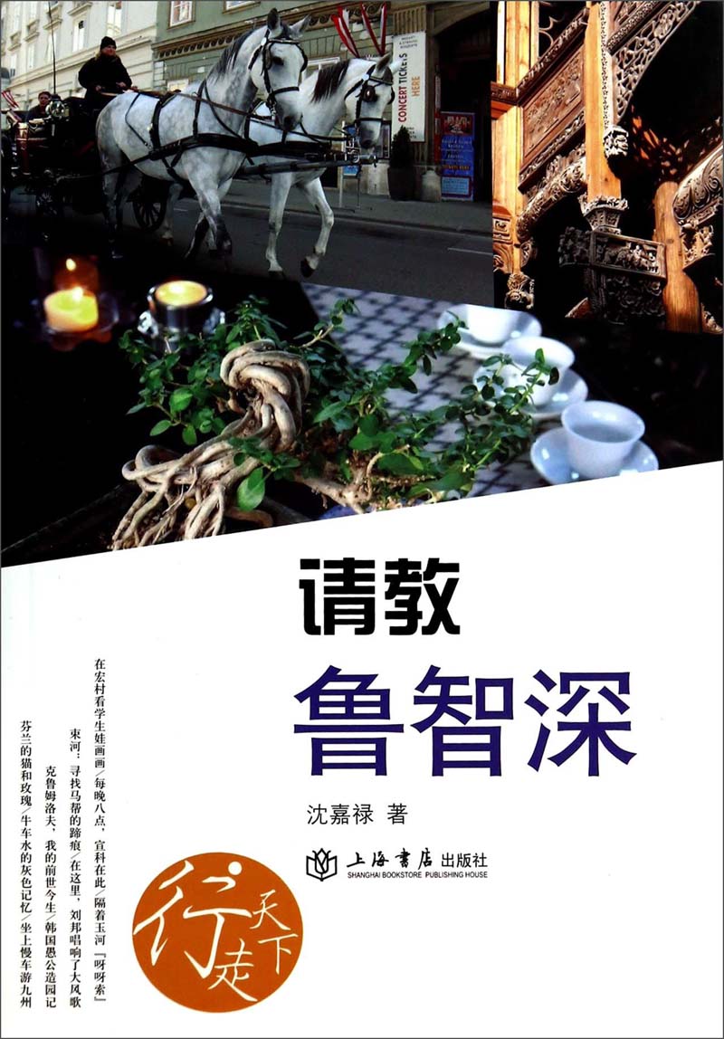 请教鲁智深