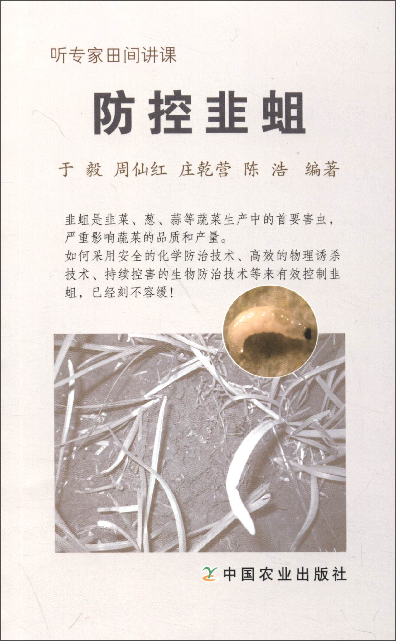 防控韭蛆/听专家田间讲课