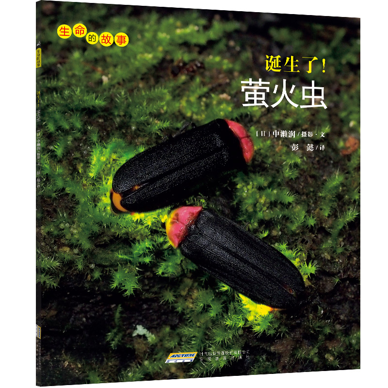 生命的故事:诞生了!萤火虫