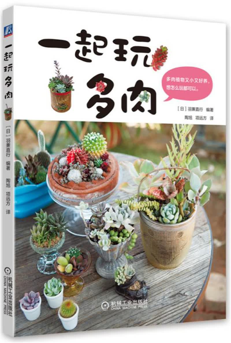 一起玩多肉