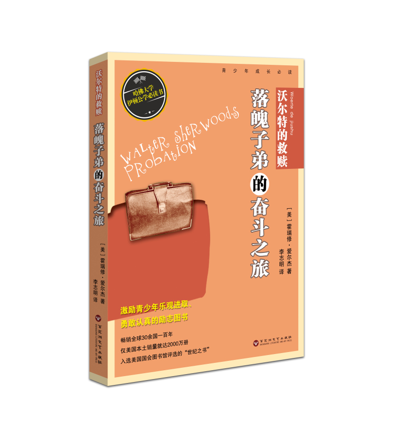 沃尔特的救赎：落魄子弟的奋斗之旅