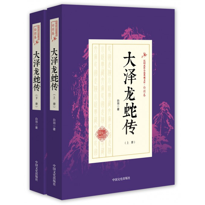 大泽龙蛇传(上下)/民国武侠小说典藏文库