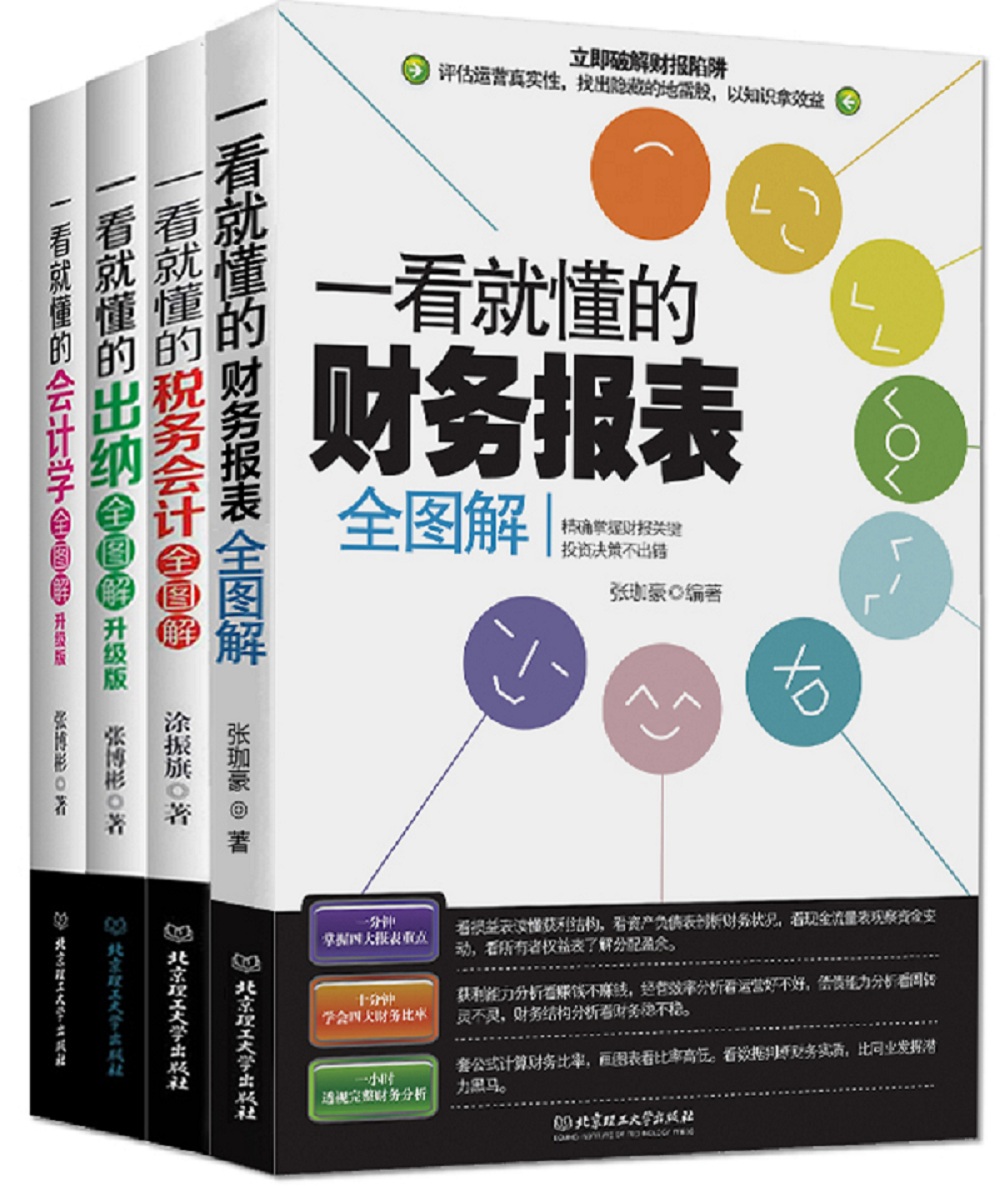 一看就懂的财务全图解系列（套装共4册）