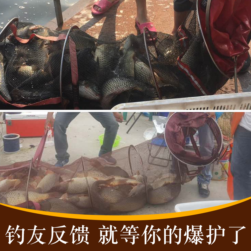 盈龙 麝香粉鲫鲤鱼饵料 草鱼青鱼 竞技黑坑 野钓滑鱼克星诱鱼小药窝料酒米钓鱼渔具用品 麝香粉30g