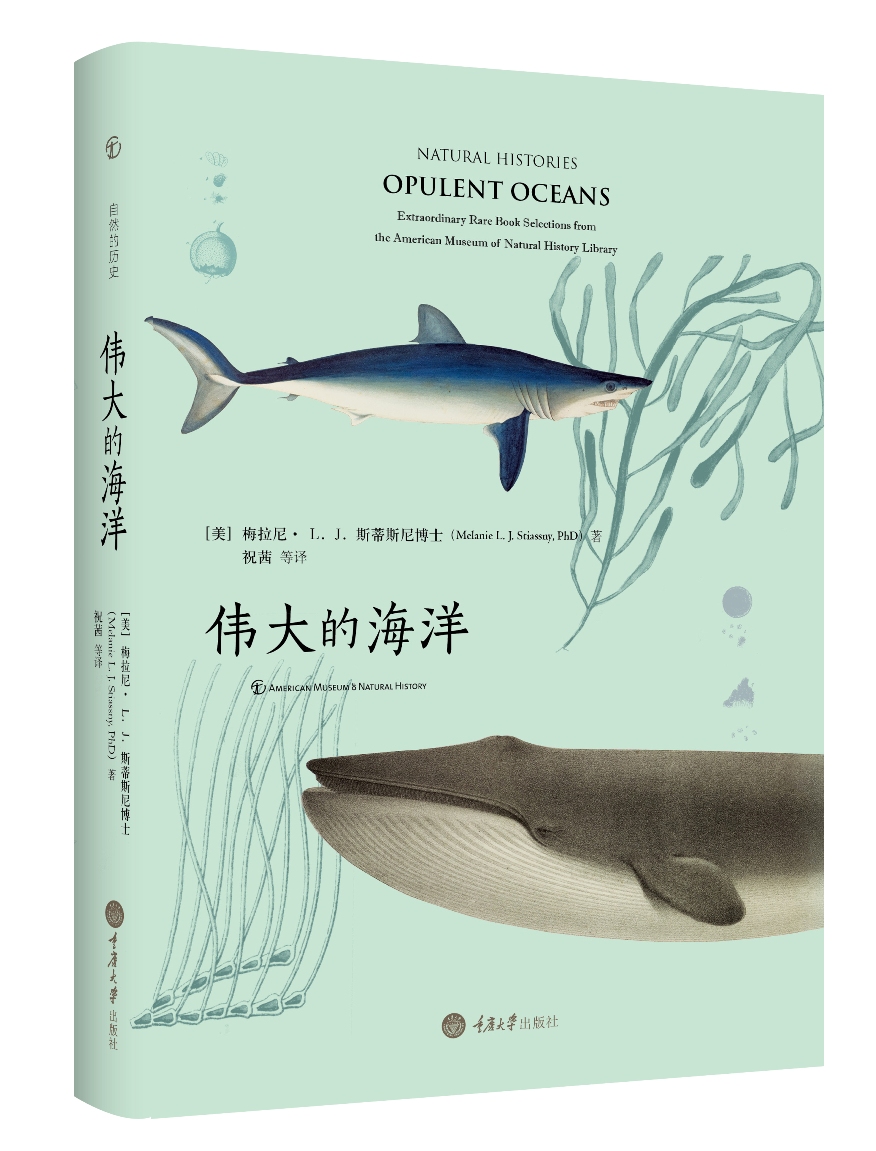 伟大的海洋