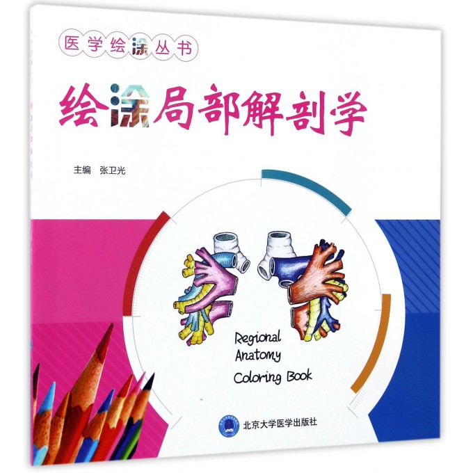 绘涂局部解剖学/医学绘涂丛书