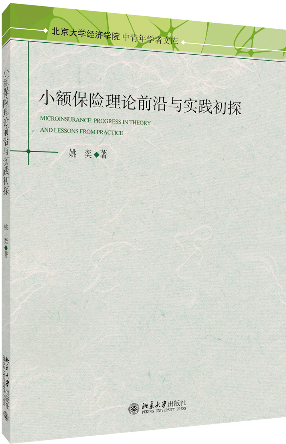小额保险理论前沿与实践初探