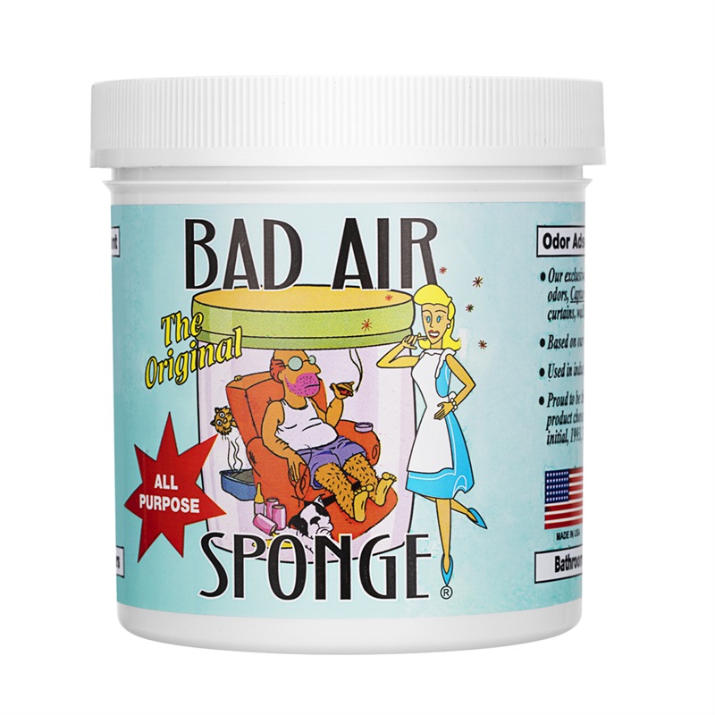 美国进口 Bad Air Sponge 空气净化剂 400g/罐 孕妈适用 甲醛装修异味