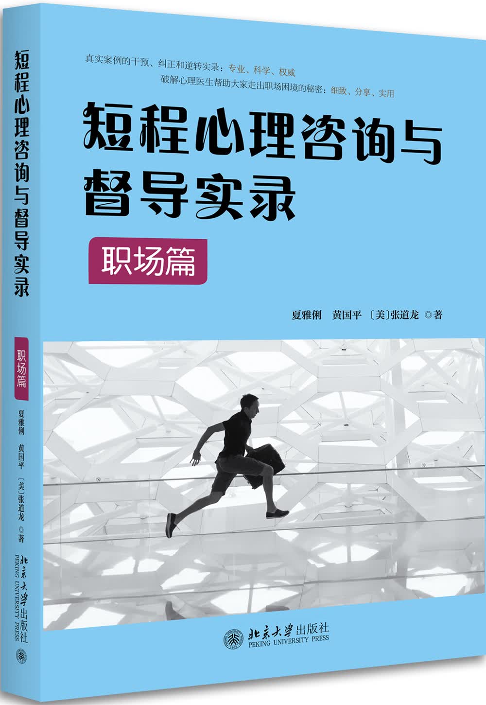 [正版图书]短程心理咨询与督导实录·职场篇