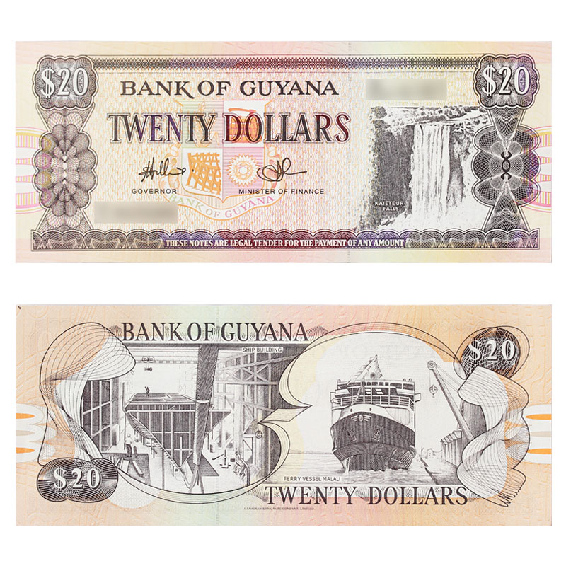 真典  全新外国钱币  美洲 圭亚那20元dollars纸币 单张