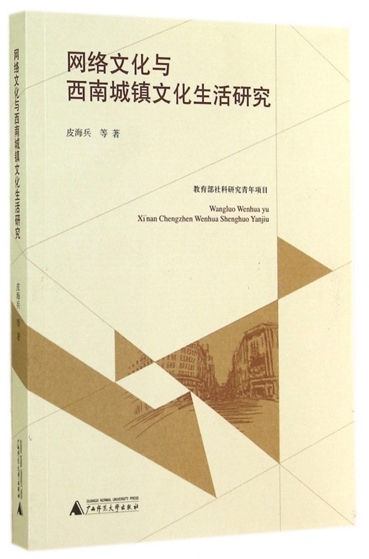 网络文化与西南城镇文化生活研究