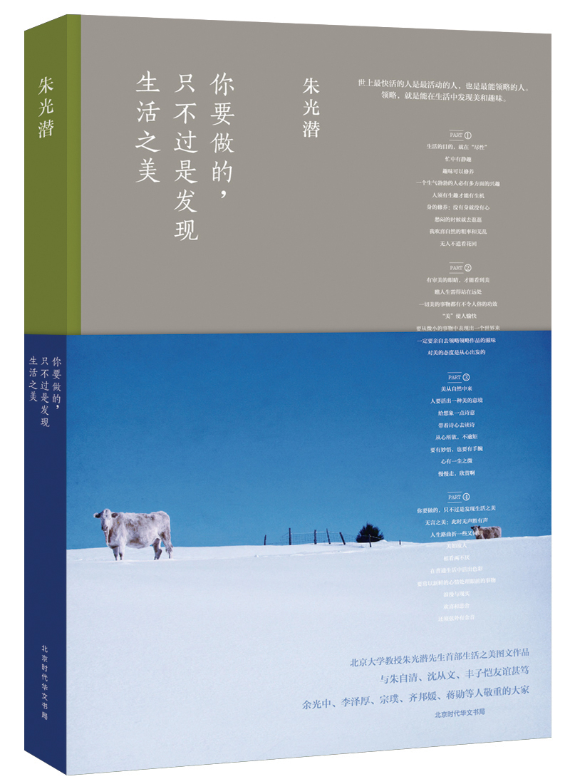 你要做的，只不过是发现生活之美