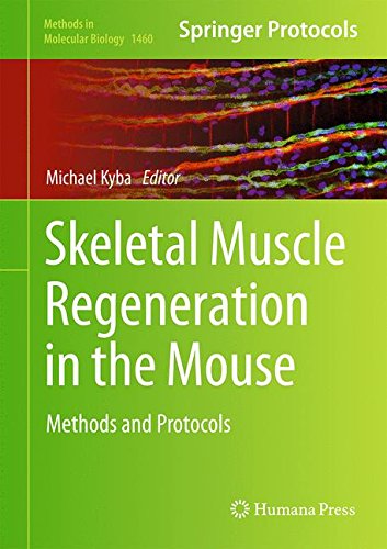 【预订】skeletal muscle regeneration in the