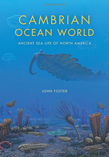【预订】cambrian ocean world: ancient sea life