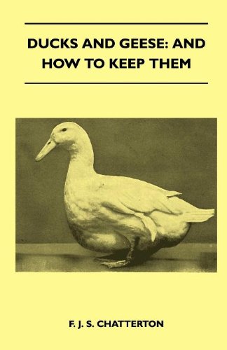 【预订】ducks and geese: and how to keep