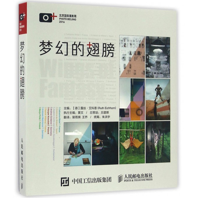 梦幻的翅膀(精)