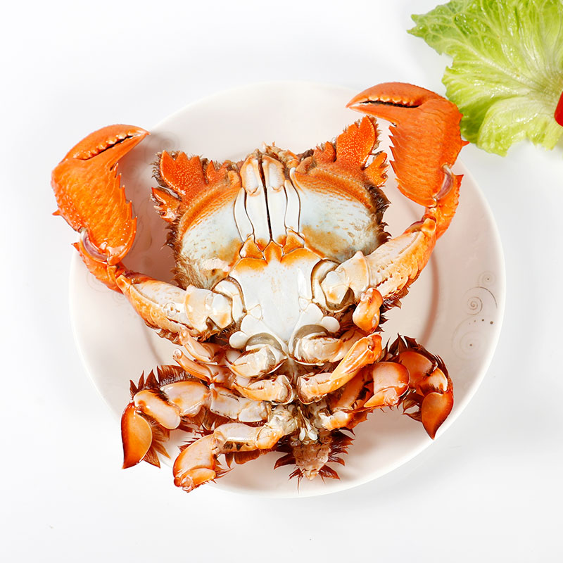 澳洲冷冻老虎蟹