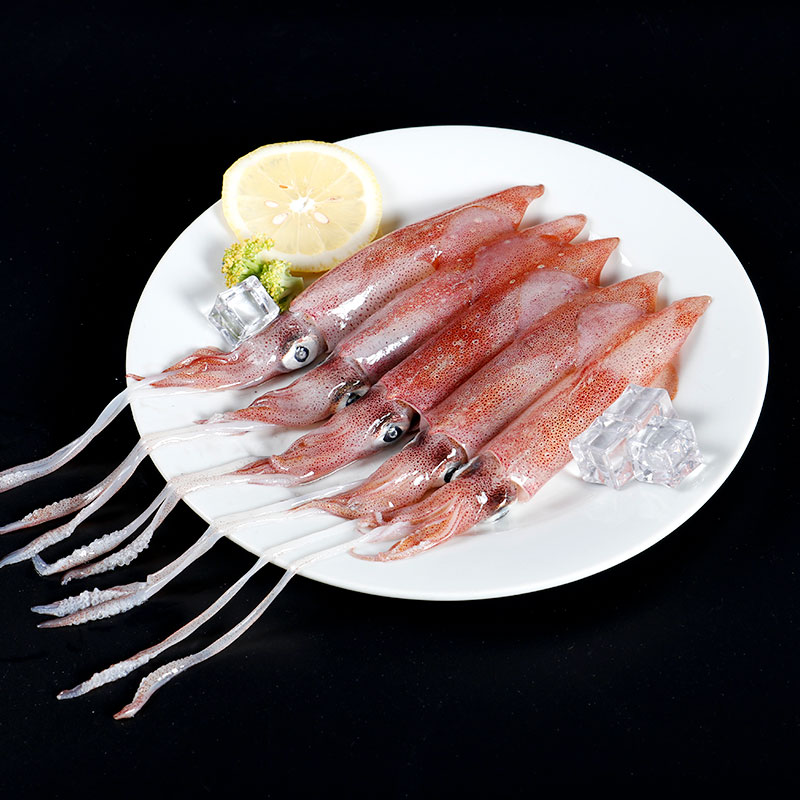 海鲜颂鲜活冷冻鱿鱼 笔管鱼小管海兔子 新鲜鱿鱼须海鲜水产火锅烧烤