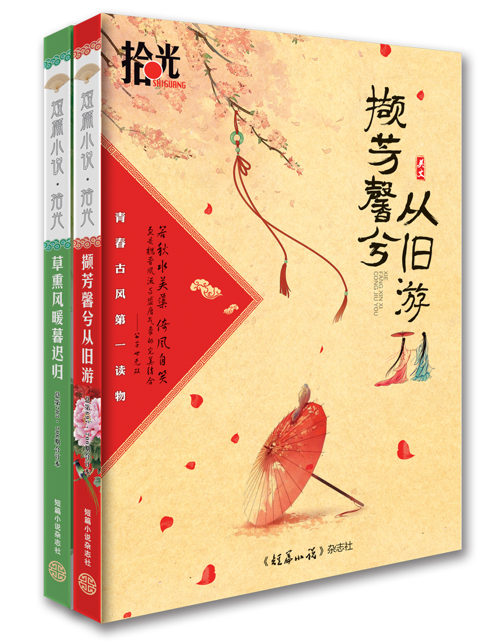 短篇小说·拾光总第697·700期、总第703-706期套装