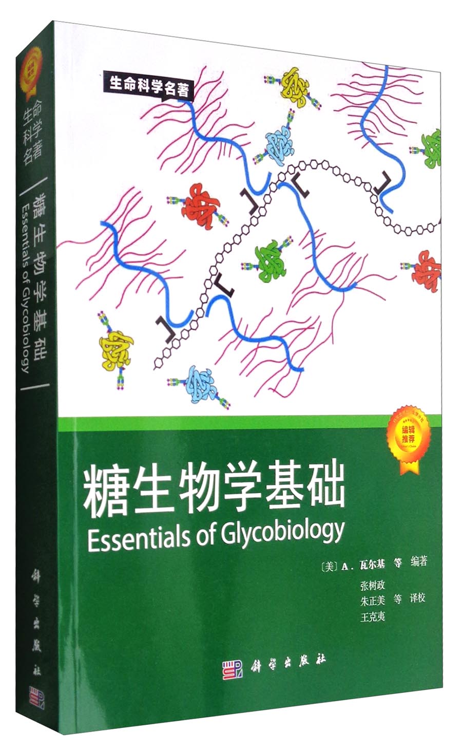 生命科学名著：糖生物学基础